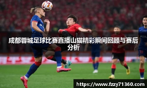 成都蓉城足球比赛直播山猫精彩瞬间回顾与赛后分析